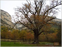 Colors de la Vall d´Hormoier